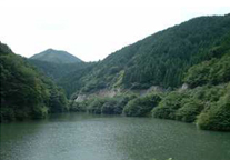 島根県奥出雲町の水源林写真