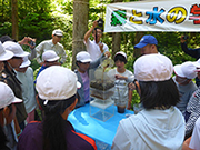 水のろ過実験の写真