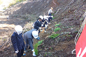 第13回　豊かな森・川・海づくり植樹祭の写真２