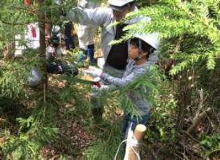 山の仕事体験の写真