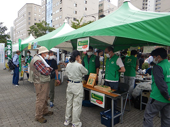 写真:漢字当てクイズ