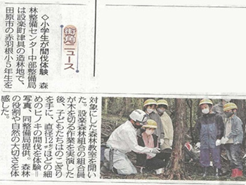 写真:ポット苗木完成