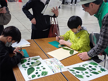 写真:リーフアート体験4