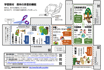 写真:サイコロづくり用学習教材