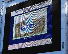 写真:大型ビジョンでPR動画上映