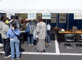 写真：木偏の漢字クイズ