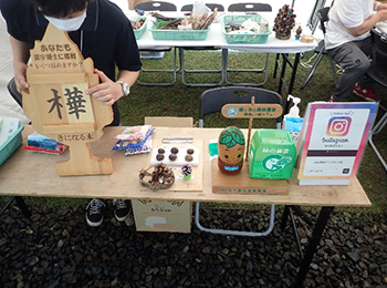 テント内の漢字クイズセット、松ぼっくり、緑の募金箱