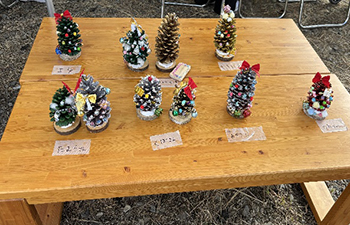 木製テーブルに置かれた10個ほどの松ぼっくり製のクリスマスツリー。銀色塗料やリボンで装飾