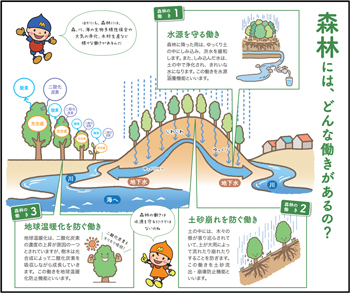森林にはどんな働きがあるの？マンガ模式図。木が水と二酸化炭素貯留し水が循環