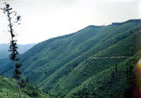 緑の木々が広がっている山の斜面