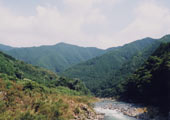大理川の写真