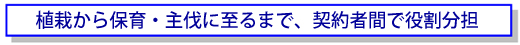 植栽から保育・主伐に至るまで、契約者間で役割分担