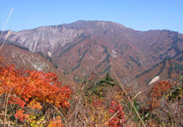 福島県金山町の水源林写真