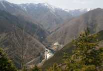 栃木県日光市の水源林写真