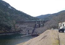 和歌山県那智勝浦町の水源林写真