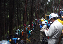 岡山県新見市の水源林写真