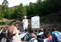 佐賀県唐津市の水源林写真