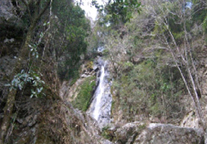 熊本県山江村の水源林写真