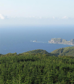 神岬団地と積丹半島のシンボル神威岬の写真