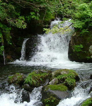 北海道でも原始に近い環境を保持している余別川の写真