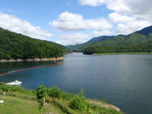 水を蓄える金山ダムの写真