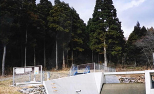 清水浄水場と水源林造成事業地の写真