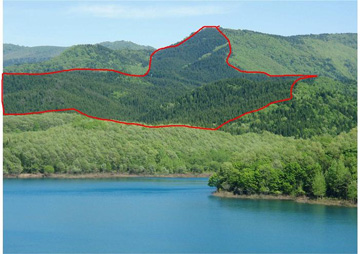 玉川ダム（宝仙湖）と水源林造成事業地の写真