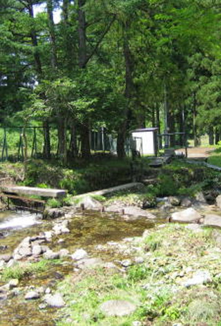 不動沢取水場（表流水）の写真