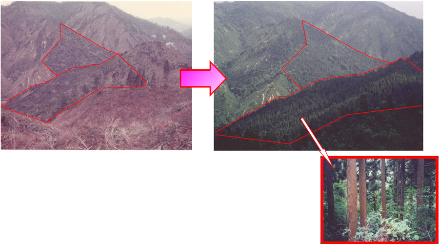昭和51年頃と現在（平成23年）の比較写真
