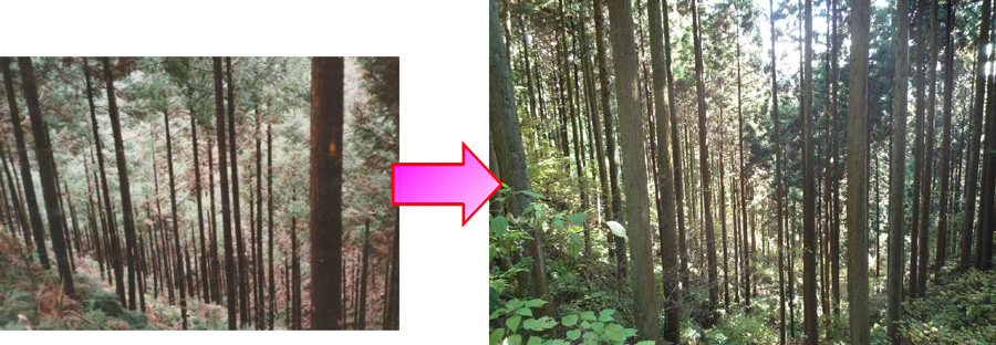 昭和59年当時と現在（平成23年）の比較写真