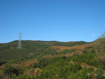 水源林造成事業地遠景(高山村)の写真