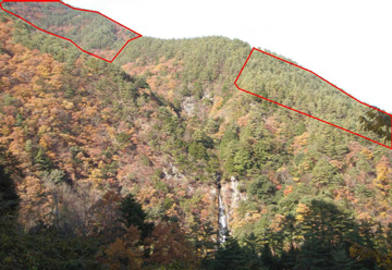 見神の滝と水源林造成事業地の写真