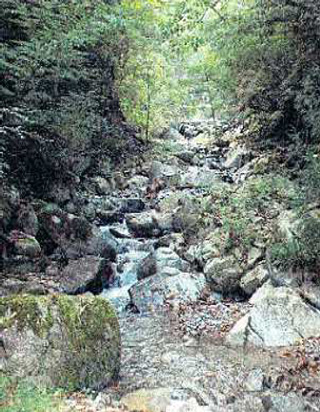 瀬戸野沢山から簡易水道の写真