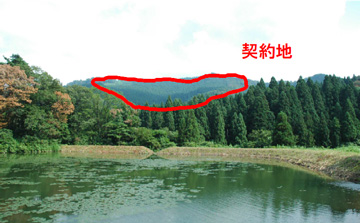 ため池と水源林造成事業地の写真