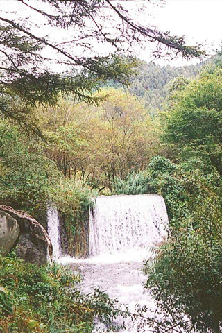 滔々たる横河川の上流の写真