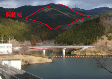 雨山ダムと水源林造成事業地の写真