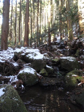 雨山ダムに注ぐ雨山川支川大ゾレ沢の写真