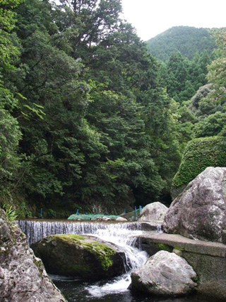 よみがえった清流 一ノ瀬川（度会町）の写真