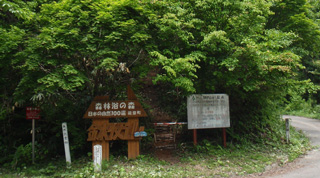 鉢伏山登り口の写真