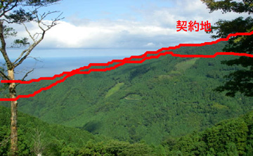日本海と水源林造成事業地の写真