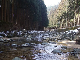 山頂から簡易水道施設へゆるやかに注ぐ菅野川の写真