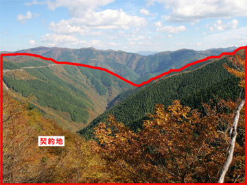 水源林造成事業地の写真