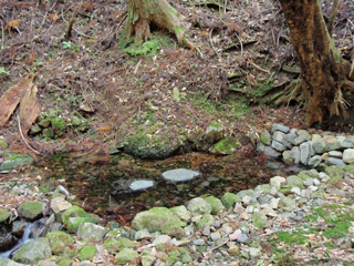 山麓より湧き出る石清水（錫杖の水）の写真