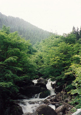 加地川と造林地の写真