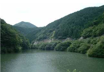 坂根ダムと水源林造成事業地の写真