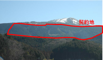 十種ケ峰と水源林造成事業地の写真