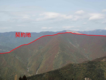 水源林造成事業地の写真