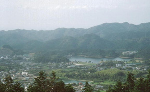 契約地からの望む池田池の写真