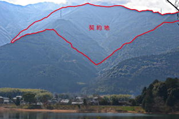 池田池と水源林造成事業地の写真