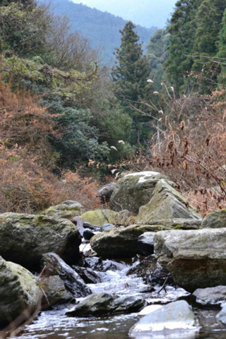 清流種子川（新居浜市）の写真